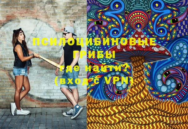 молекула духа Вязники