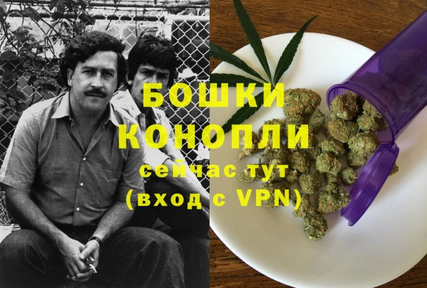 кокс Вяземский