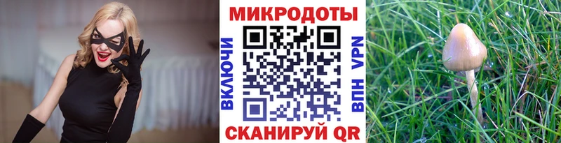 Галлюциногенные грибы Cubensis Печоры