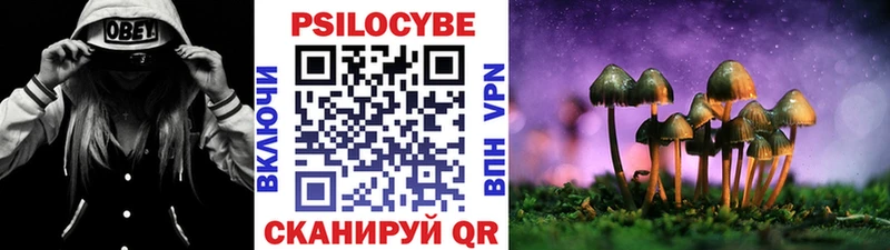 Псилоцибиновые грибы MAGIC MUSHROOMS  mega онион  Печоры 